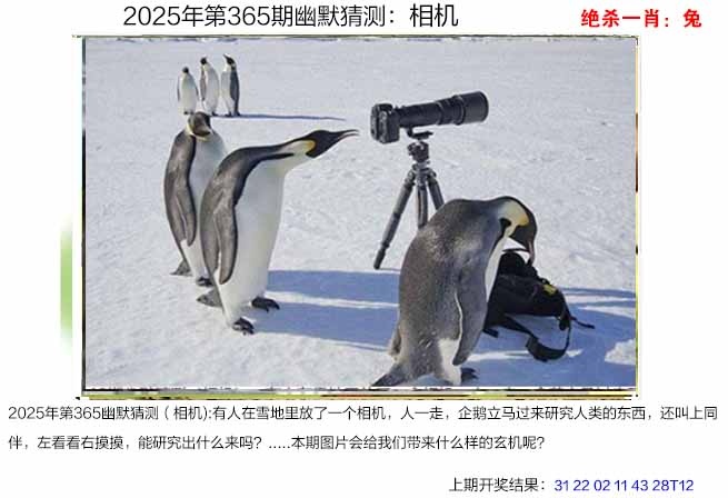 365期幽默猜测[图]