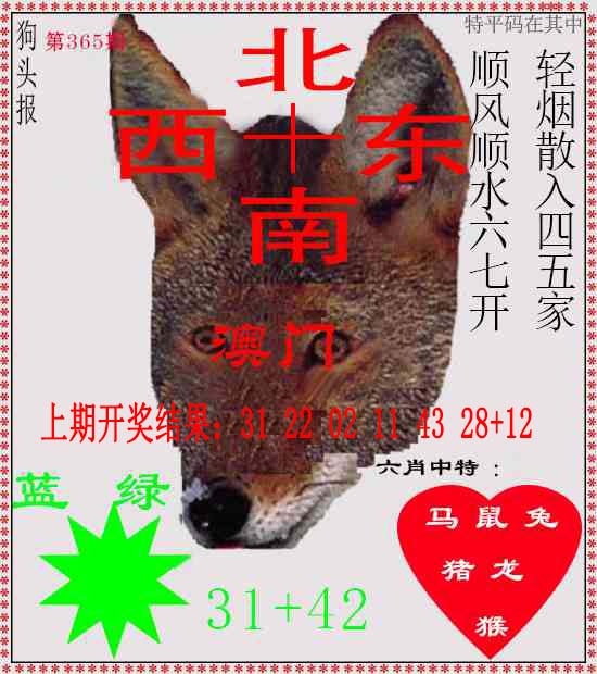 365期狗头报[图]