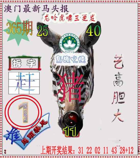 365期马头报[图]
