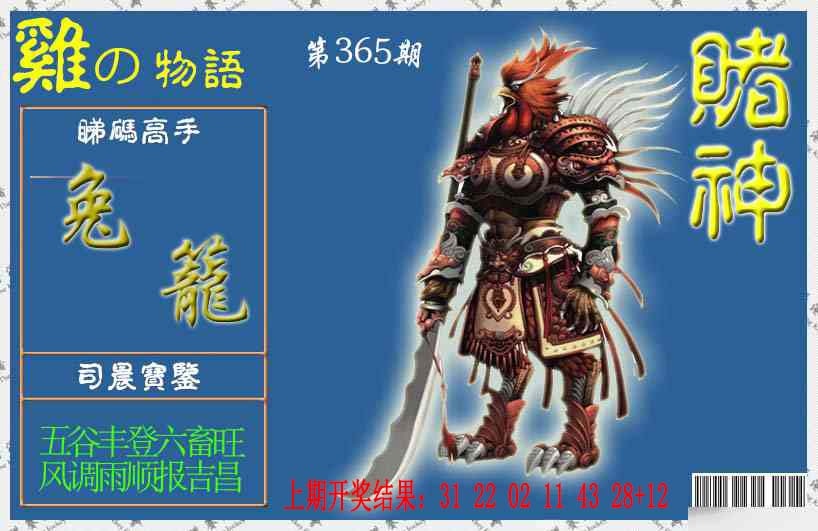 365期赌神鸡报[图]