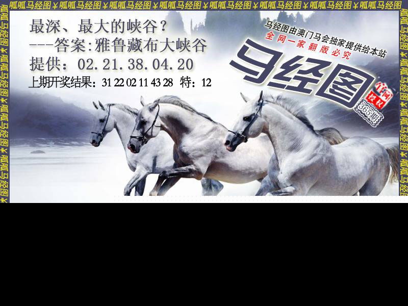 365期马经7[图]