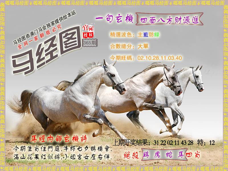 365期马经6[图]