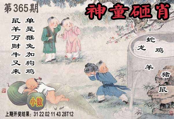 365期神童砸肖[图]