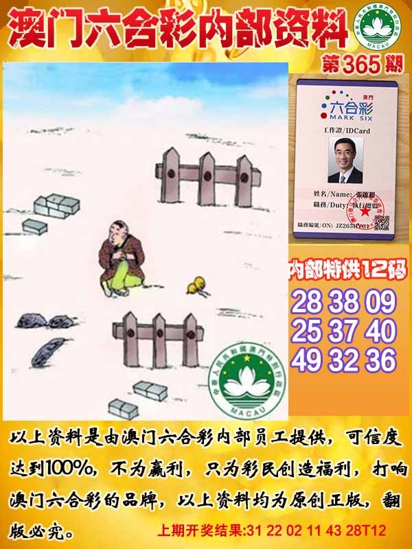 365期六合内部资料[图]