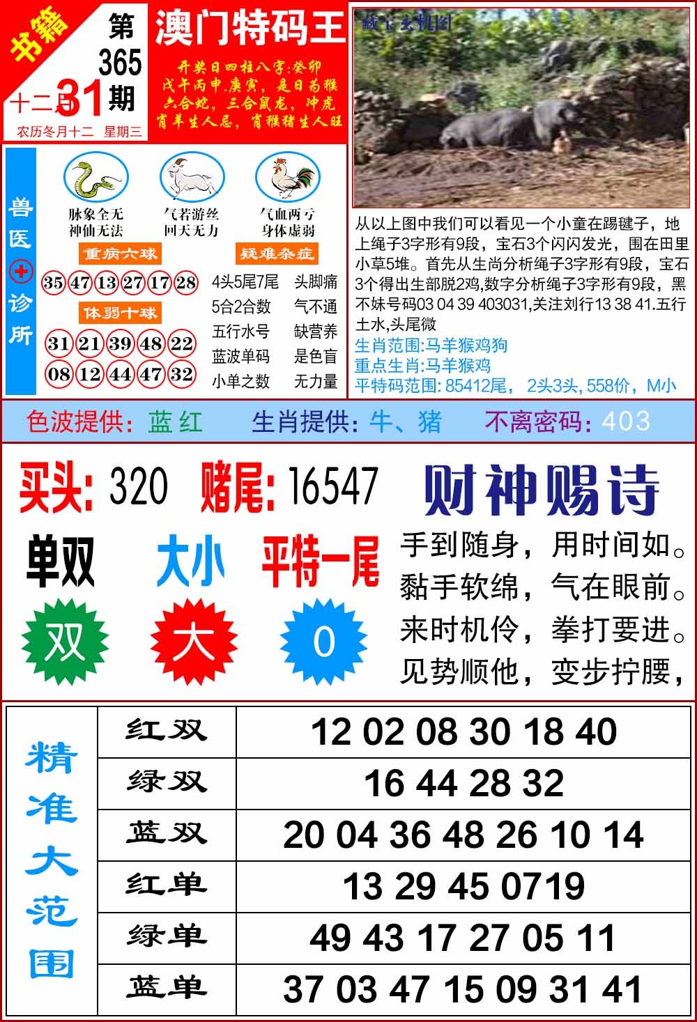 365期澳门特码帝[图]