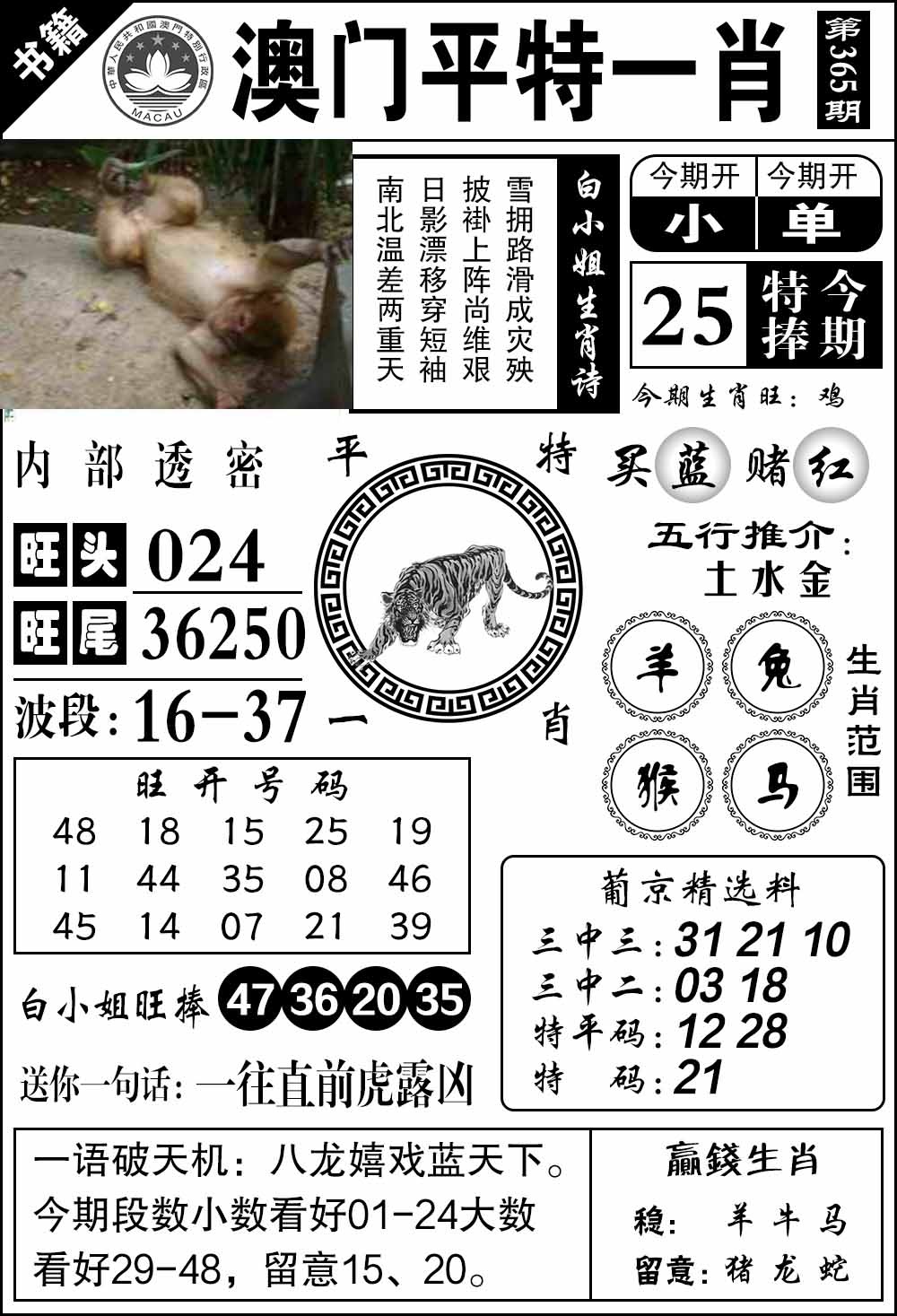 365期澳门内部透密[图]