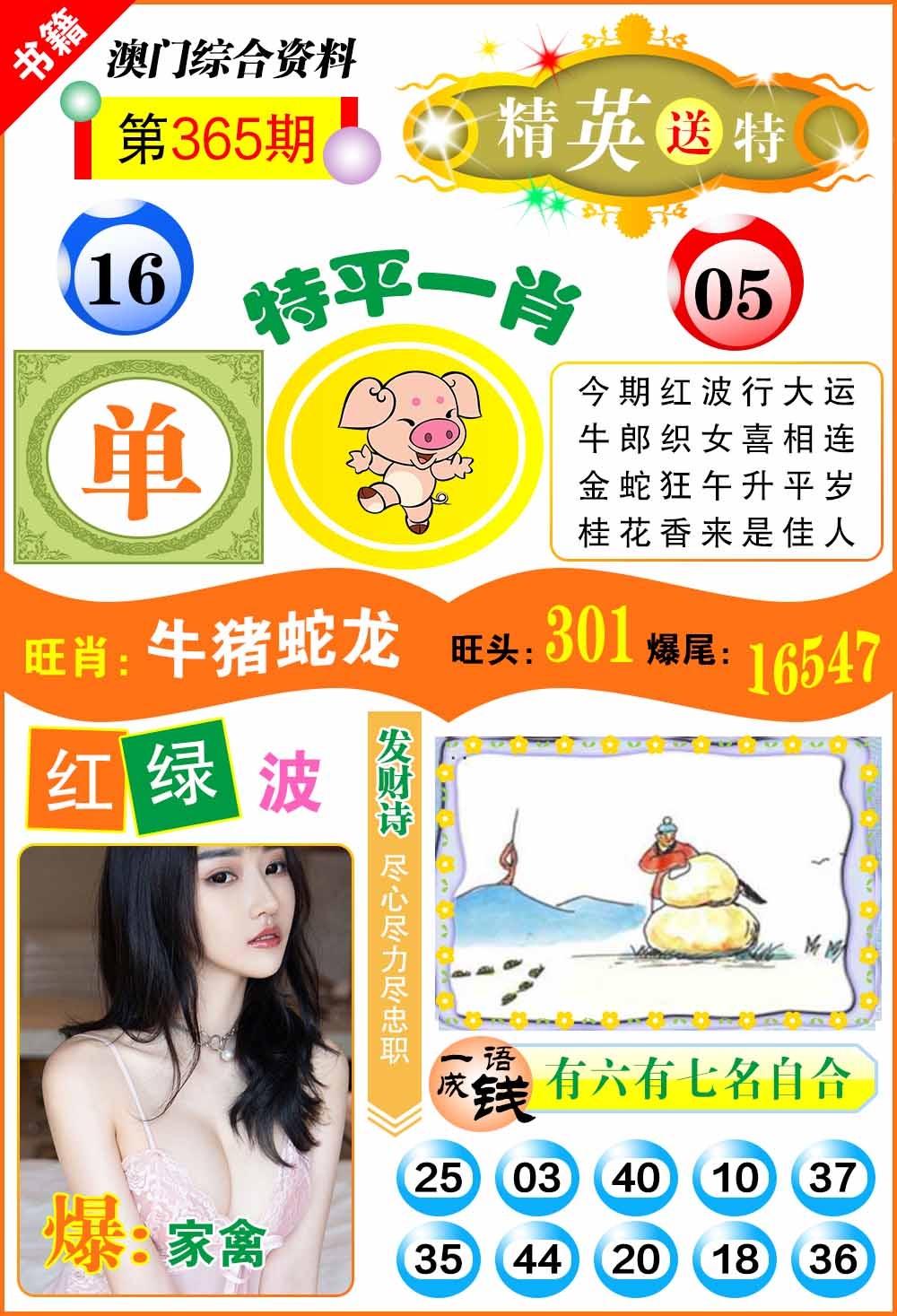 365期澳门综合资料[图]