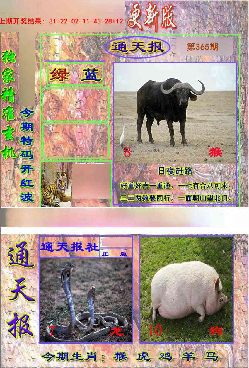365期新通报[图]