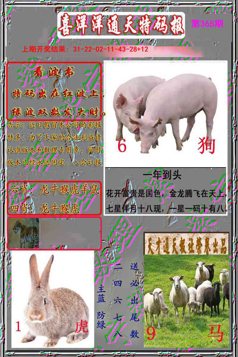 365期洋通报[图]