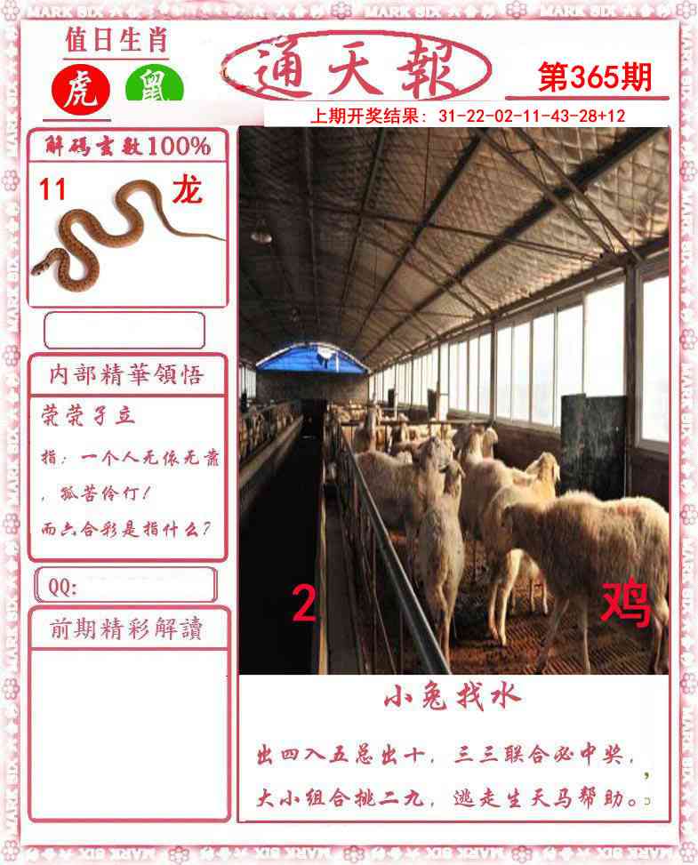 365期正版通天报[图]