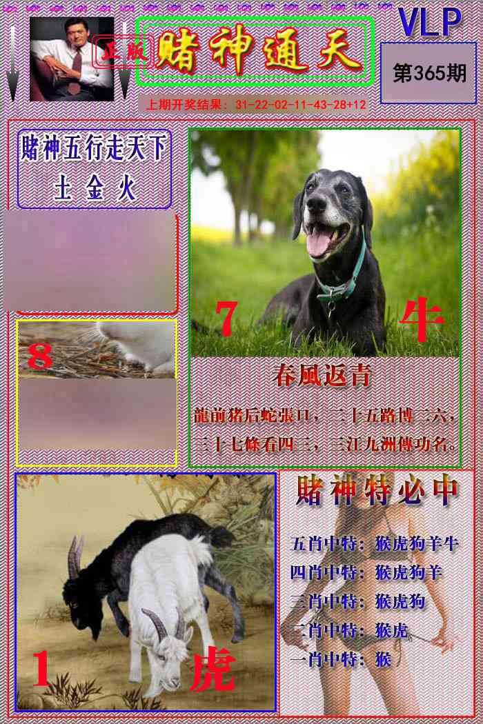 365期赌神通天报[图]