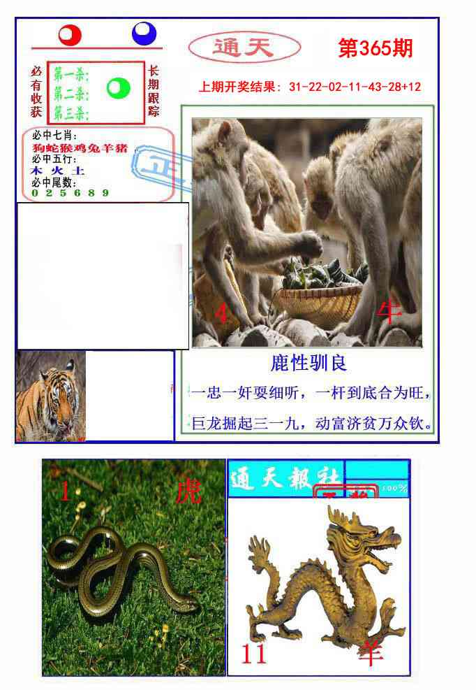 365期通天杀波图2[图]