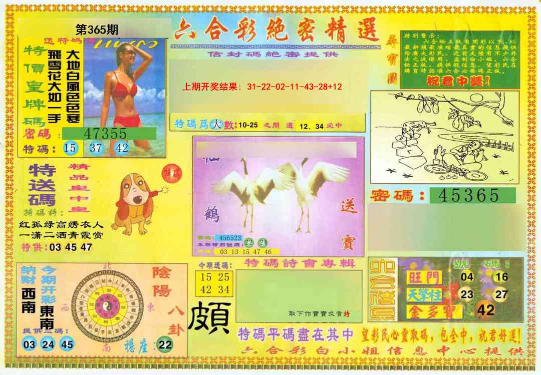365期绝密精选A[图]