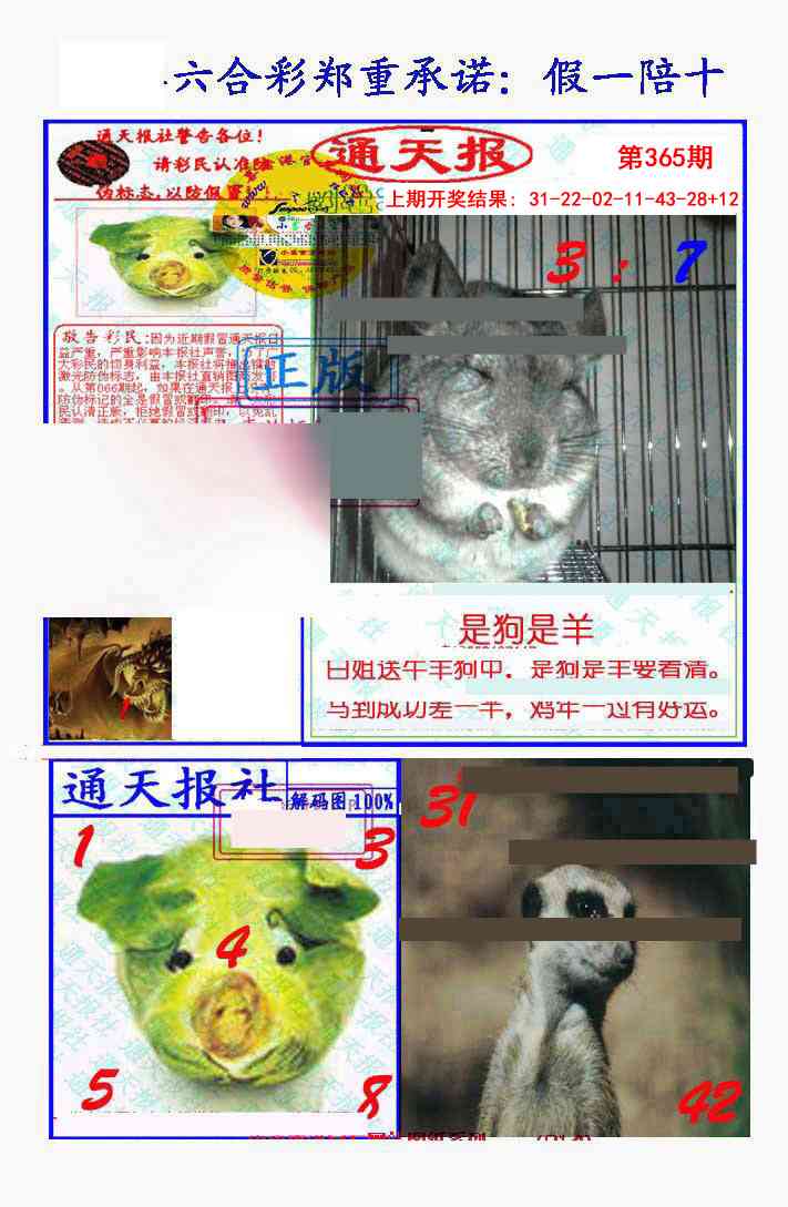 365期假一陪十通天报[图]