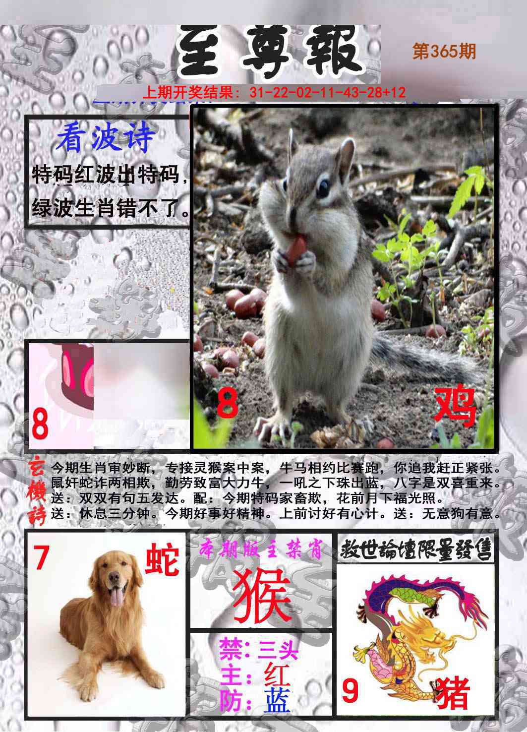 365期至尊报[图]
