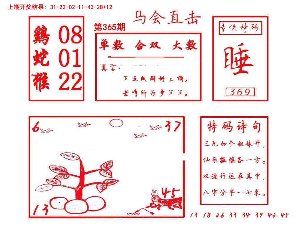 365期马会直击[图]
