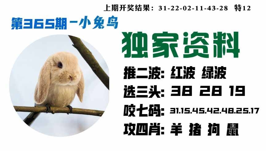365期小兔鸟[图]
