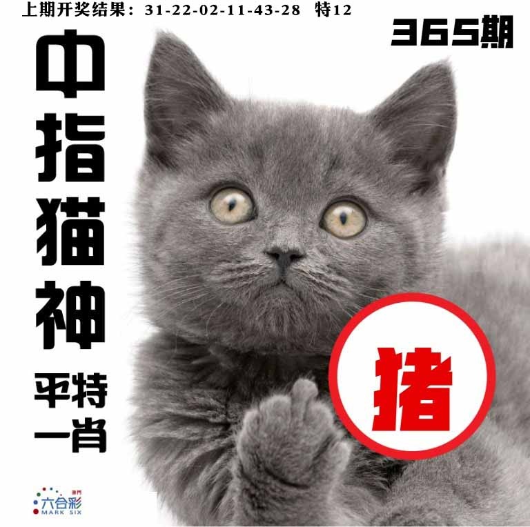 365期中指猫神[图]